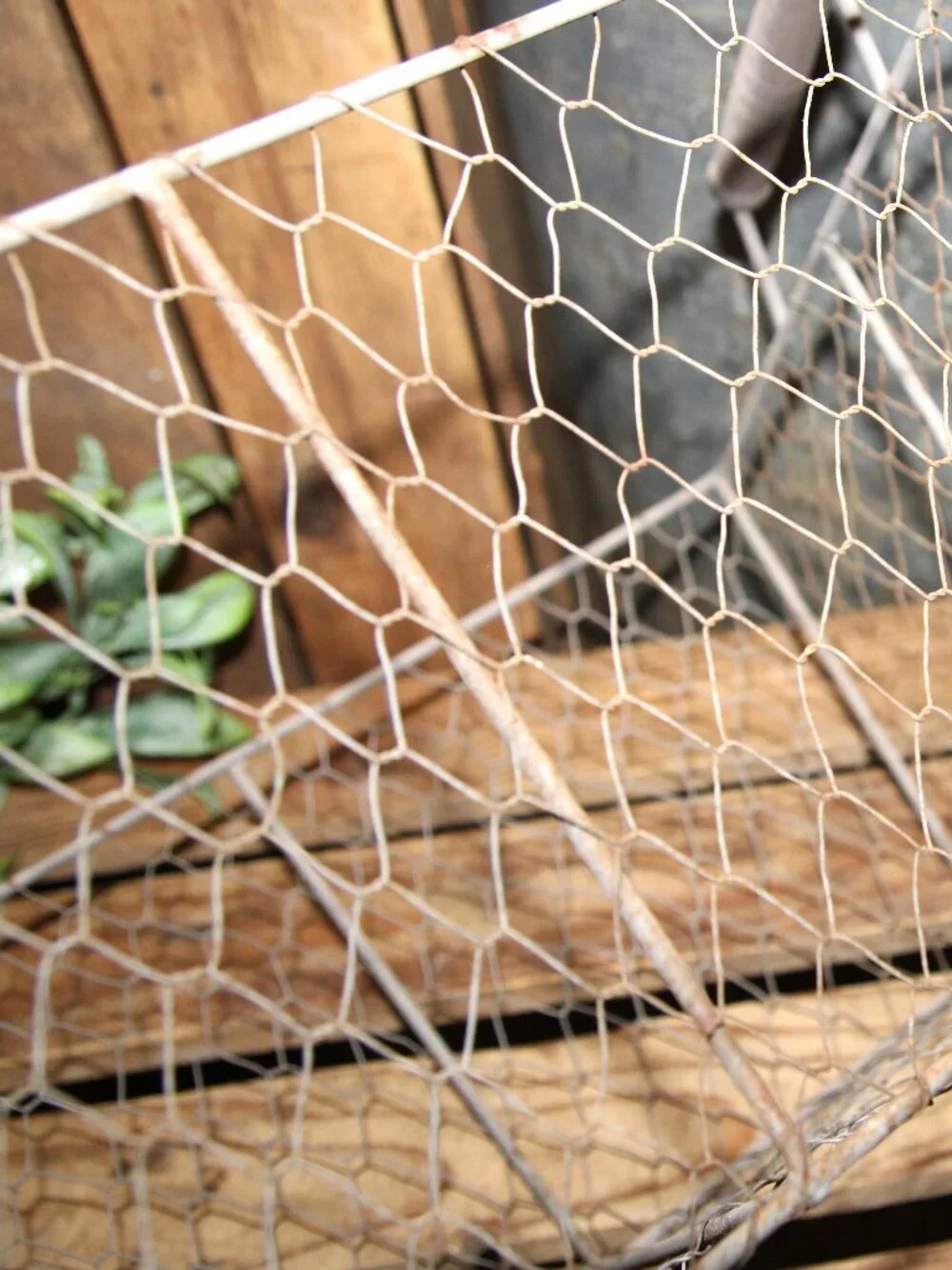 Large Grungy Rustic Weathered Aged Farmhouse Chicken Wire Basket